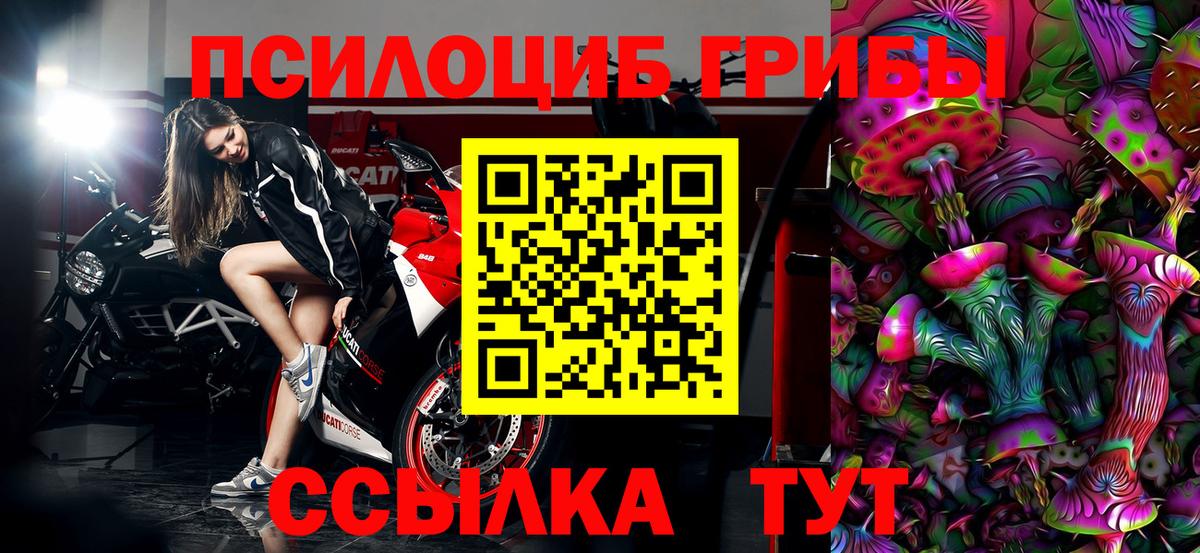 Псилоцибиновые грибы Psilocybe  Вход с VPN  Бугуруслан 